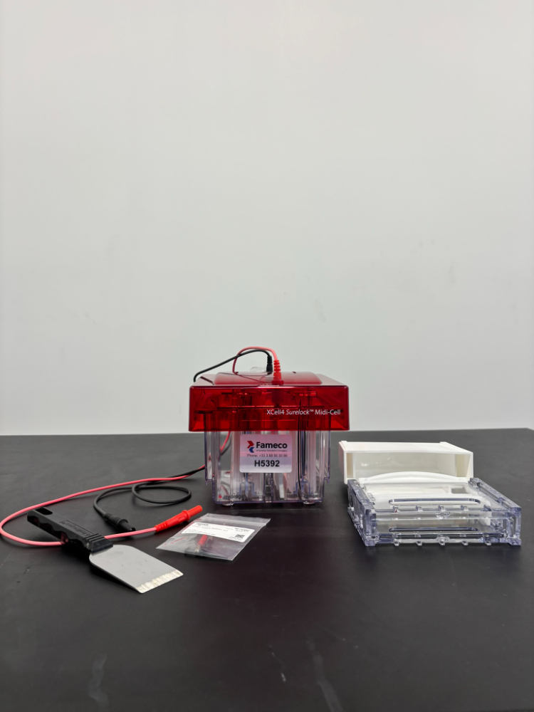 Image of Invitrogen xcell4 Surelock midi-Cell
